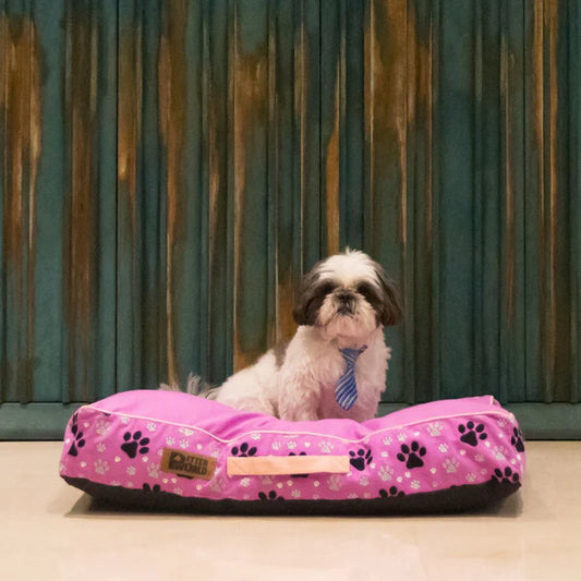 PetterWorld’s Elevated Dog Beds: The Perfect Solution for All Weather Comfort