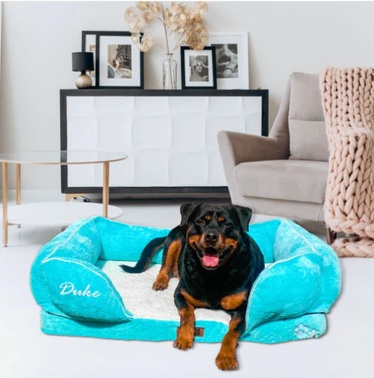 Eco-Friendly Dog Beds: Sustainable Options for Your Pet
