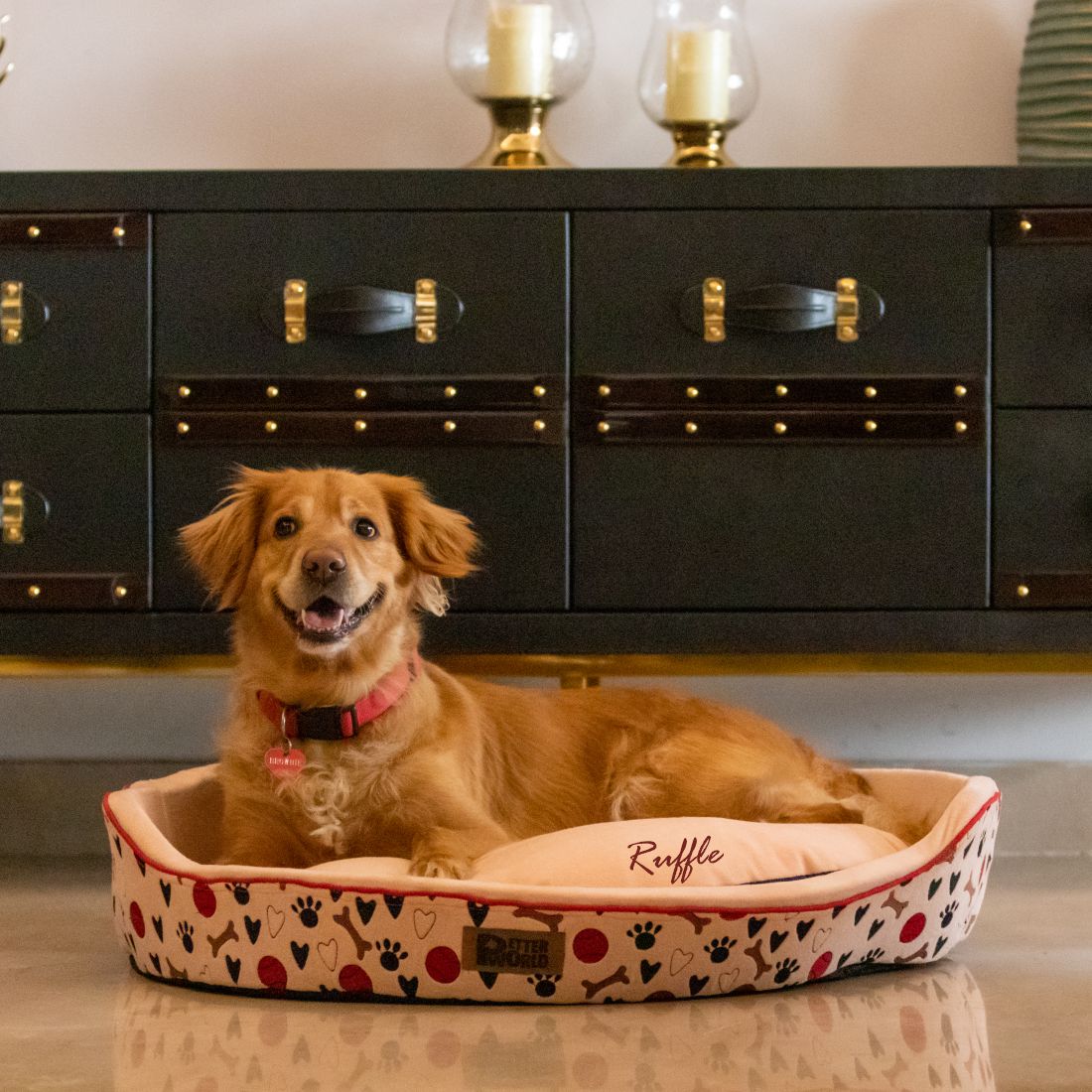 PetterWorld Pet Beds Orthopedic Round Cuddler with Removable Cushion