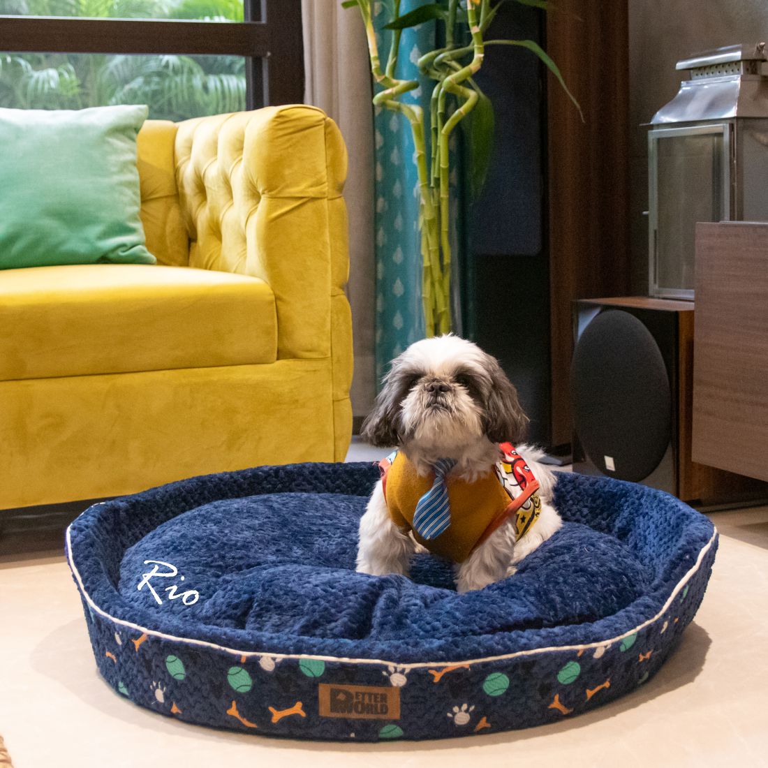 PetterWorld Pet Beds Orthopedic Round Cuddler with Removable Cushion