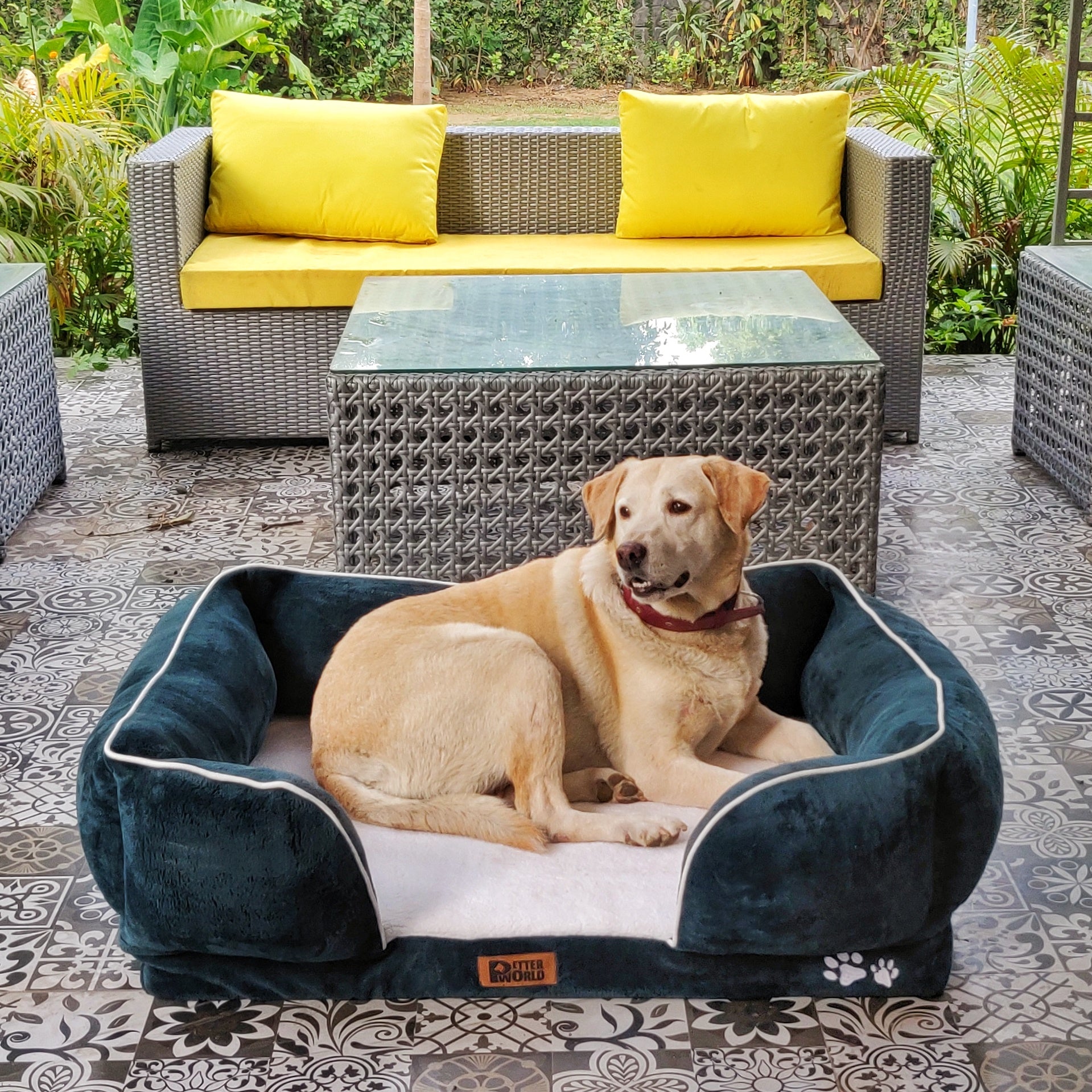 Orthopedic Sofa Bed with Sherpa fur Cover, Orthopedic Sofa Beds For Dogs  Online India Petter World