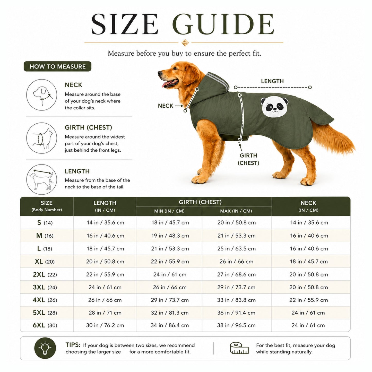 Petter World Waterproof Dog Raincoat with Removable Hood & Reflective Strips