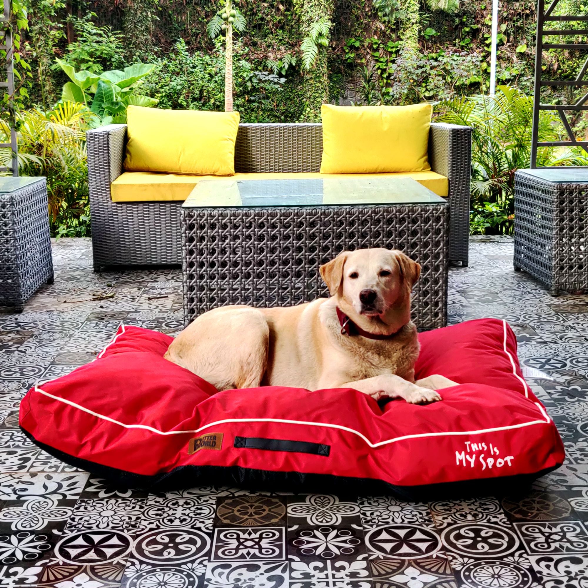 Chew Proof Kong Waterproof Dog Bed PetterWorld Waterproof