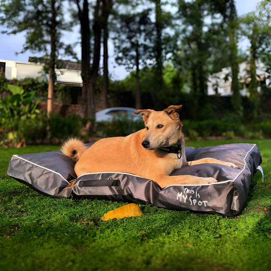 Waterproof & Chewproof Dog Mattress for Small to Extra Large Breeds -  Steel Gray