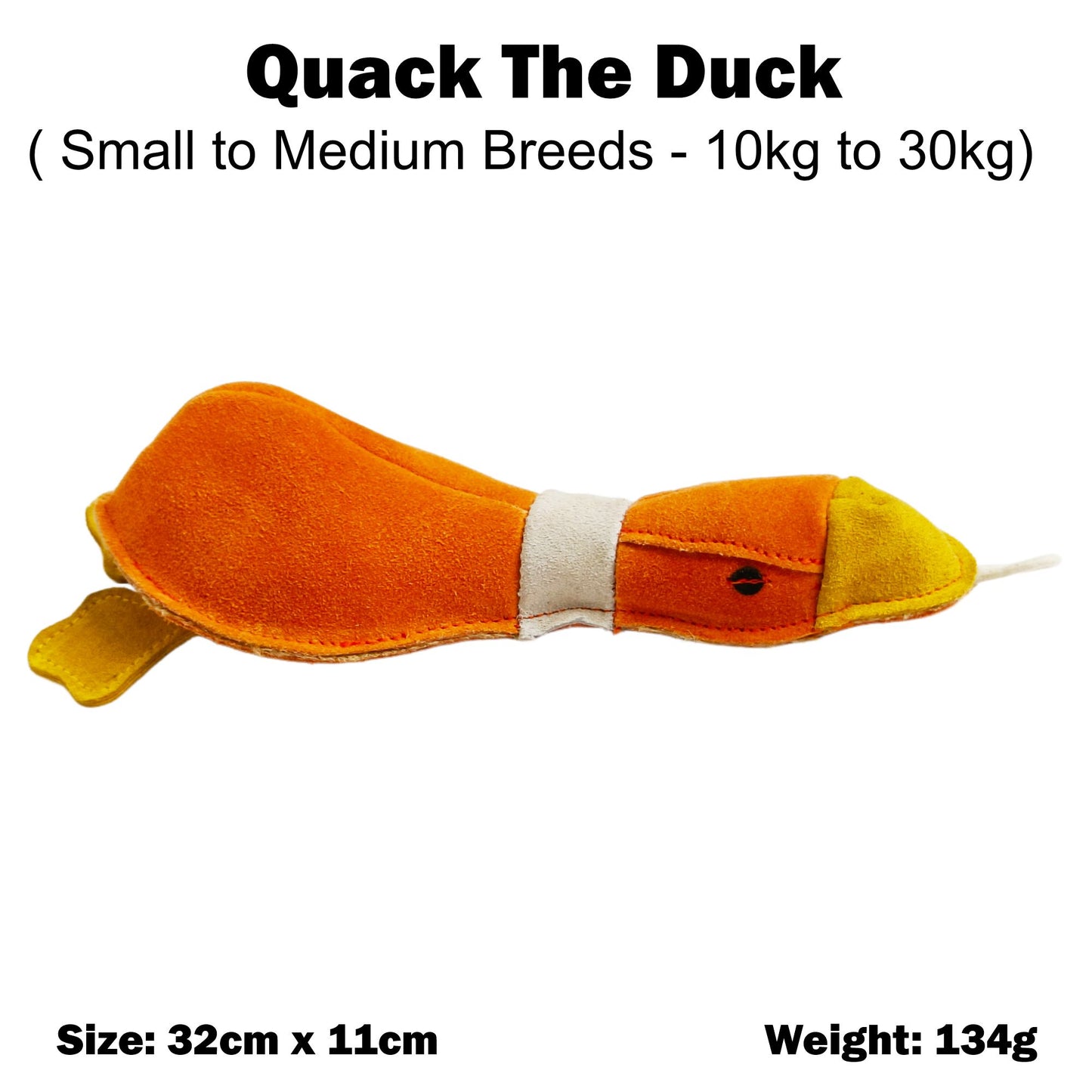 Quack the Duck