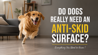 Do Dogs Really Need an Anti-Skid Bed? Everything You Need to Know !