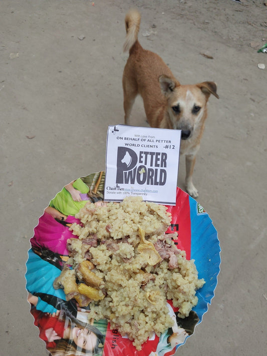 Every Purchase Feeds a Stray: A Promise from Petter World