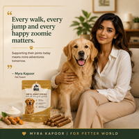Which Dog Treats Are Actually Healthy? A Complete 2026 Guide for Pet Parents