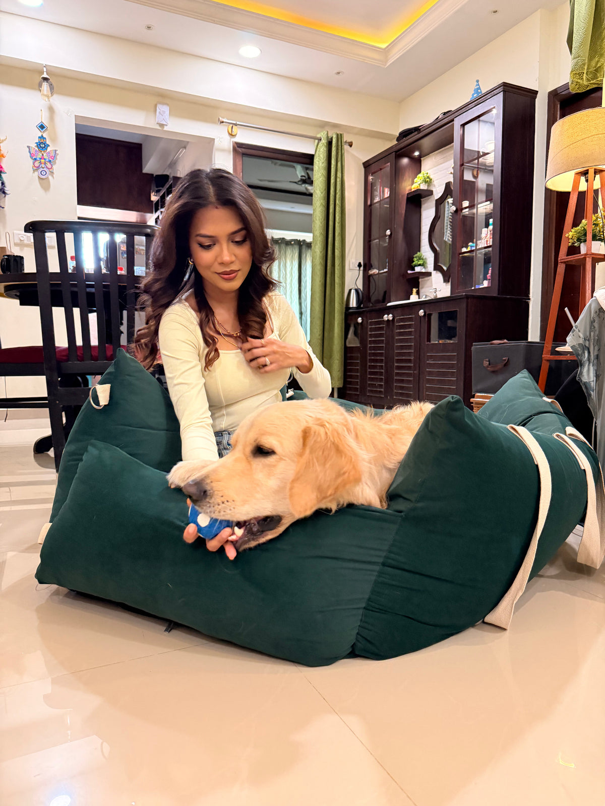 Why Does My Dog Refuse to Sleep on Their Bed ? (and where do they actually feel comfortable?)