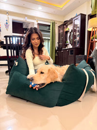 Why Does My Dog Refuse to Sleep on Their Bed ? (and where do they actually feel comfortable?)