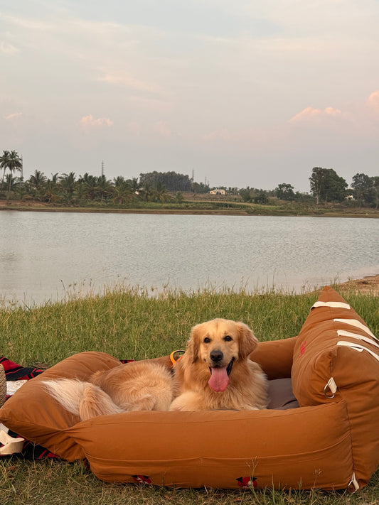 From Road Trips to Staycations: The Benefits of a Dog Travel Bed