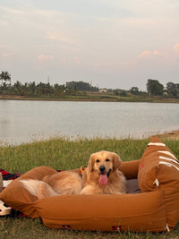 From Road Trips to Staycations: The Benefits of a Dog Travel Bed