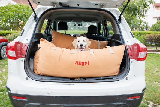Best Dog Travel Beds in India: A 2026 Guide for Pet Parents on Do's and Don'ts while travelling!