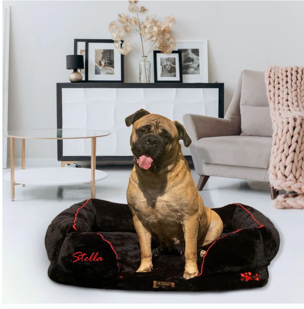 Top 10 Most Comfortable Dog Beds for Different Breeds