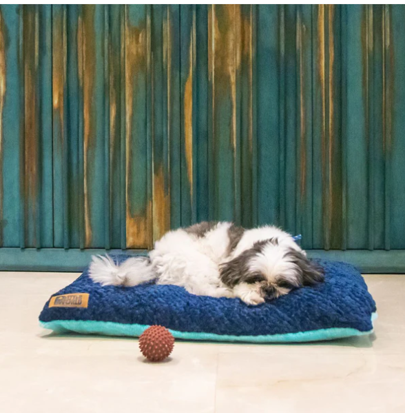 Travel-Friendly Dog Beds: Portable Options for On-the-Go Pets