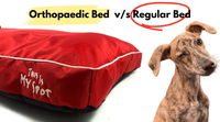 Orthopaedic v/s Regular Dog Beds: Which One Is Better for Your Dog?