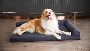 The Ultimate Guide to Choosing the Perfect Dog Bed for Your Pet