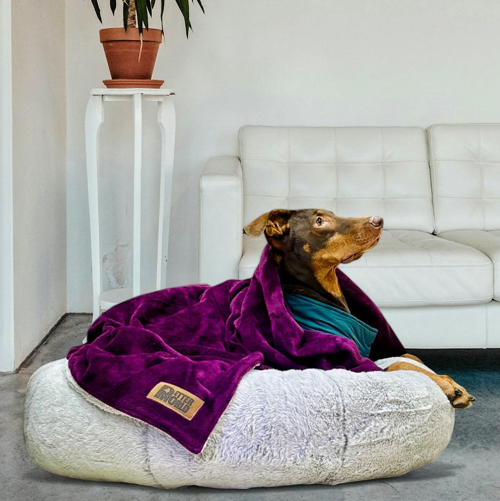 Anti Anxiety Calming Beds