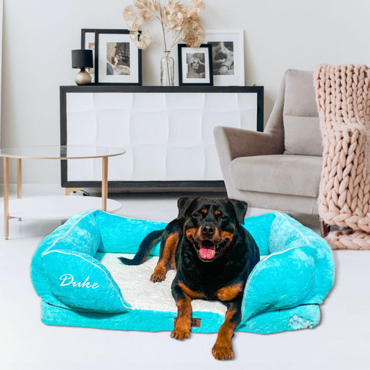 Orthopedic Foam Sofa Bed - Turquoise