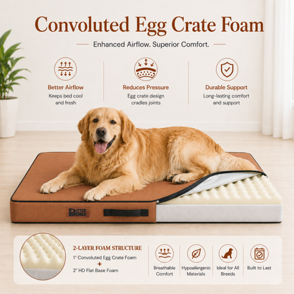 Summer Cooling Bed for Dogs | Orthopaedic Support with 2 Foam Options | Washable, Anti Skid | ALL BREEDS & ALL AGES