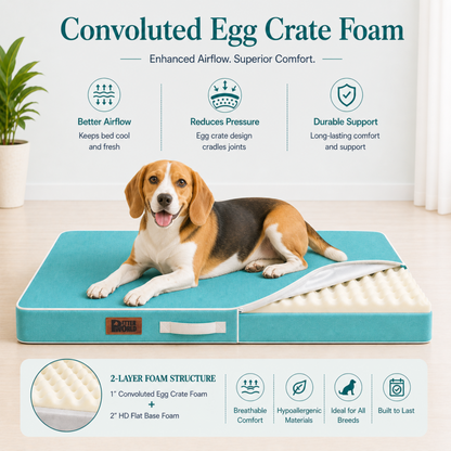 Summer Cooling Bed for Dogs | Orthopaedic Support with 2 Foam Options | Washable, Anti Skid | ALL BREEDS & ALL AGES