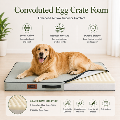 Summer Cooling Bed for Dogs | Orthopaedic Support with 2 Foam Options | Washable, Anti Skid | ALL BREEDS & ALL AGES