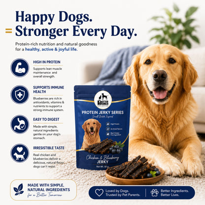 Petter World Chicken & Blueberry Jerky for Dogs | Premium Protein Dog Treats | 50g