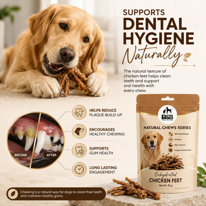 Petter World Dehydrated Chicken Feet for Dogs | Natural Crunchy Dog Chews | 70g