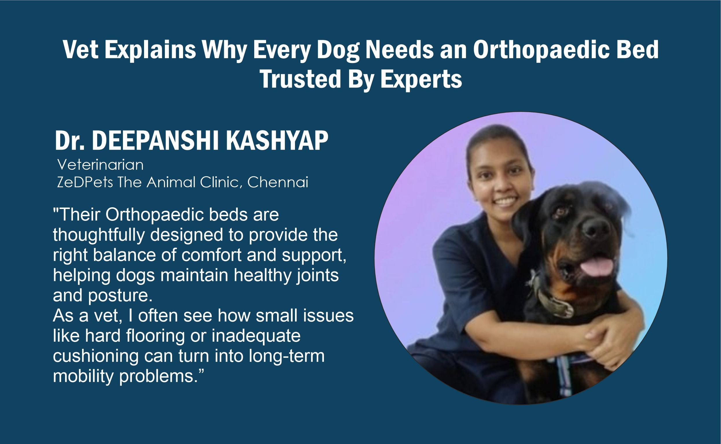 Vet Explains Why Every Dog Needs an Orthopedic Bed