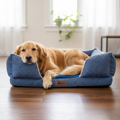 Petter World Luxury Orthopedic Sofa Bed – Imperial Blue