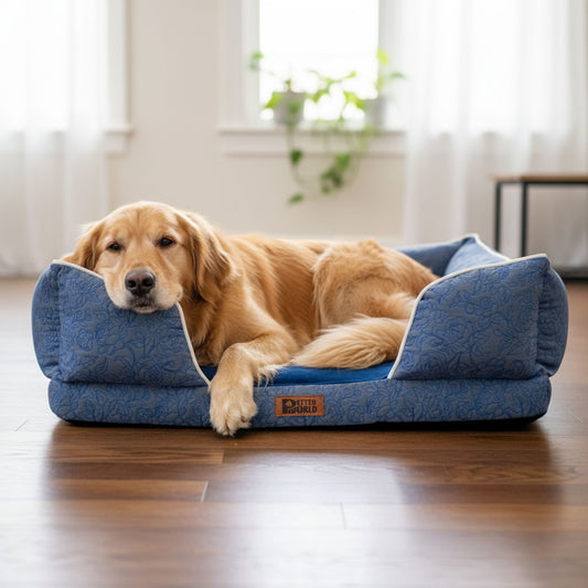 Petter World Luxury Orthopedic Sofa Bed – Imperial Blue