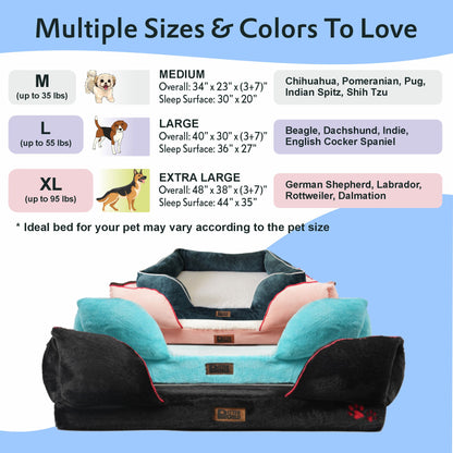 Petter World Luxury Orthopedic Sofa Bed – Imperial Blue