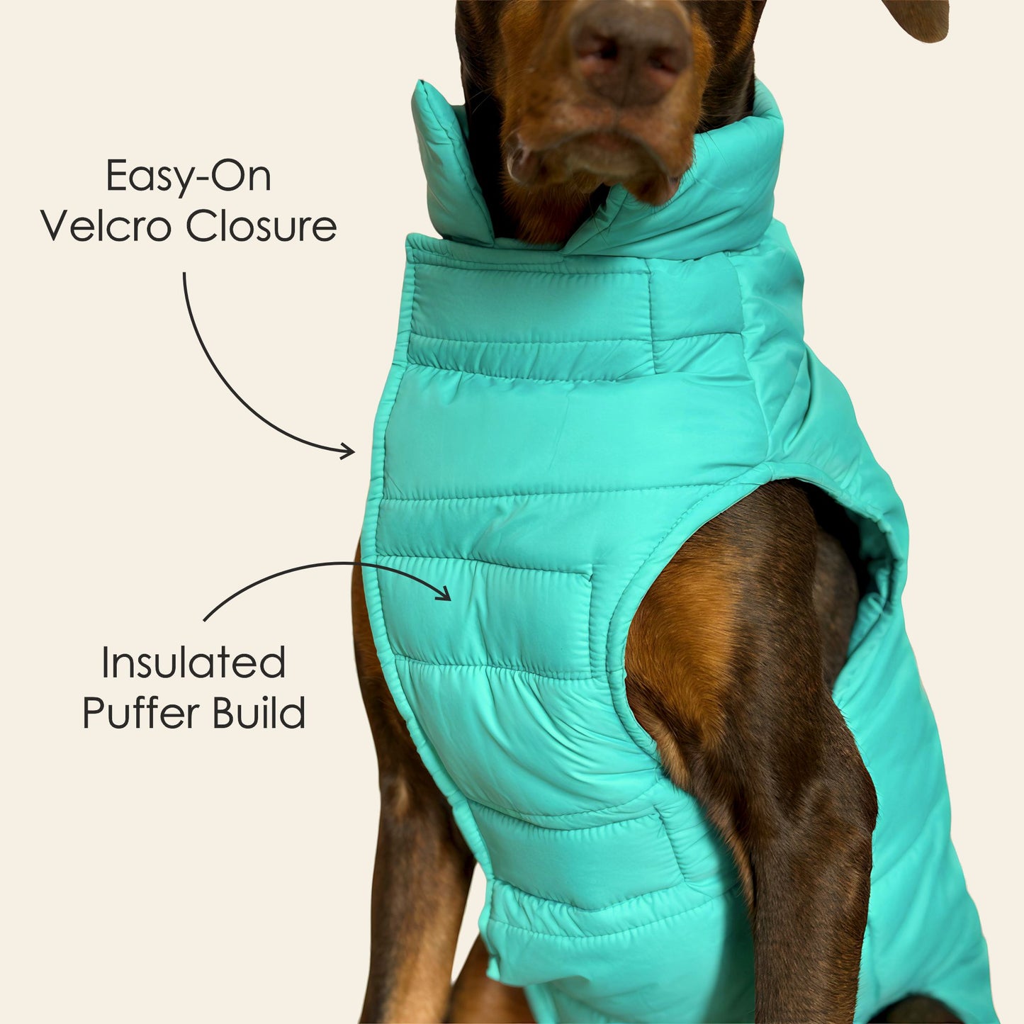 Petter World ArcticGuard Owl Jacket – Ultra-Warm Puffer Winter Coat for Dogs | Insulated, Lightweight & Water-Resistant | Easy Velcro Closure | Perfect for Cold Weather & Outdoor Walks