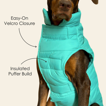 Petter World ArcticGuard Owl Jacket – Ultra-Warm Puffer Winter Coat for Dogs | Insulated, Lightweight & Water-Resistant | Easy Velcro Closure | Perfect for Cold Weather & Outdoor Walks