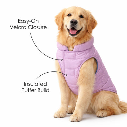 Petter World ArcticFrost Panda Dog Jacket – Lavender Winter Puffer Coat for Small to Large Dogs