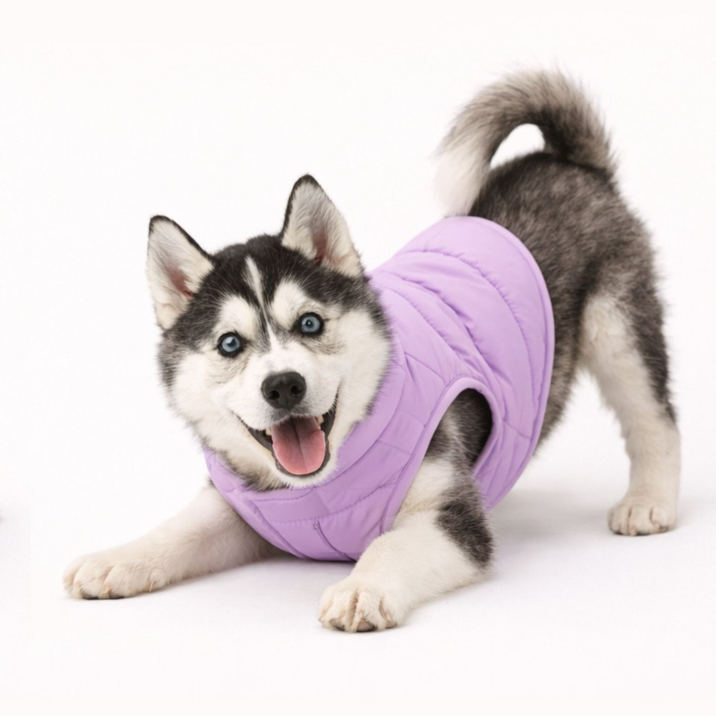 Petter World ArcticFrost Panda Dog Jacket – Lavender Winter Puffer Coat for Small to Large Dogs