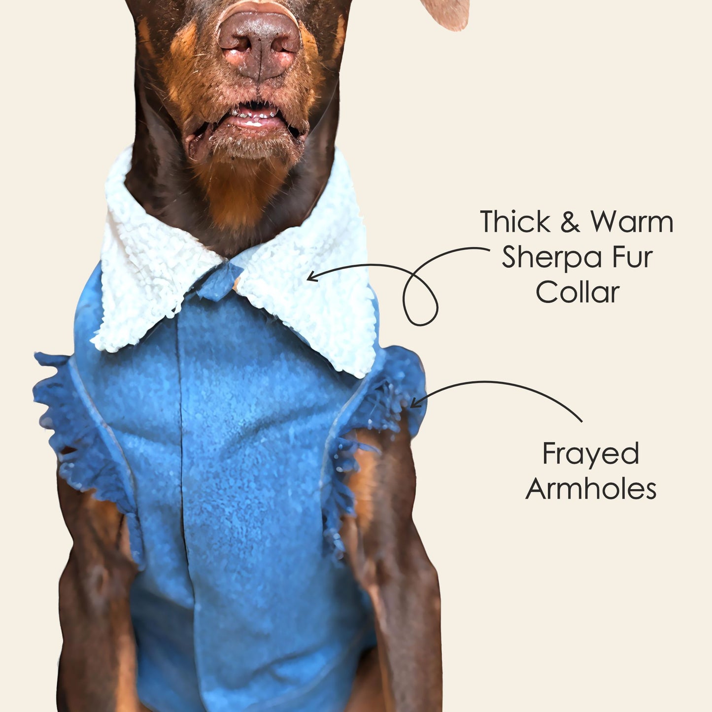 Petter World Pawluxe Sherpa Denim Jacket – Premium Winter Dog Coat | Blue Denim with White Fur Collar | Soft Velcro Closure, Distressed Armholes & Cozy Lining