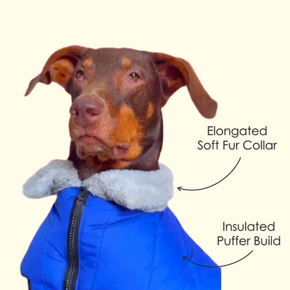 Petter World Polar Edge Dog Puffer Jacket | Insulated Winter Jacket with Fur Neck