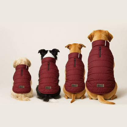 Petter World ThermoGuard Classic Jacket – Premium Maroon Puffer Coat for Dogs | High-Neck Winter Protection | Leash-Access Zipper, Soft Cotton Lining & Easy Velcro Closure