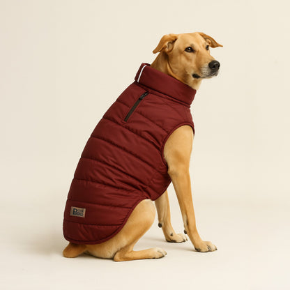 Petter World ThermoGuard Classic Jacket – Premium Maroon Puffer Coat for Dogs | High-Neck Winter Protection | Leash-Access Zipper, Soft Cotton Lining & Easy Velcro Closure