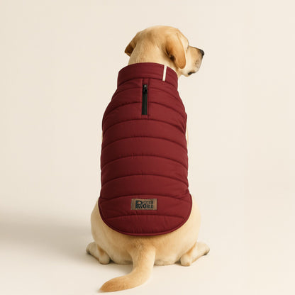 Petter World ThermoGuard Classic Jacket – Premium Maroon Puffer Coat for Dogs | High-Neck Winter Protection | Leash-Access Zipper, Soft Cotton Lining & Easy Velcro Closure