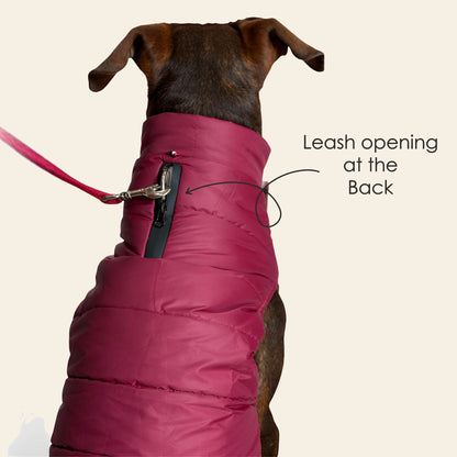 Petter World ThermoGuard Classic Jacket – Premium Maroon Puffer Coat for Dogs | High-Neck Winter Protection | Leash-Access Zipper, Soft Cotton Lining & Easy Velcro Closure