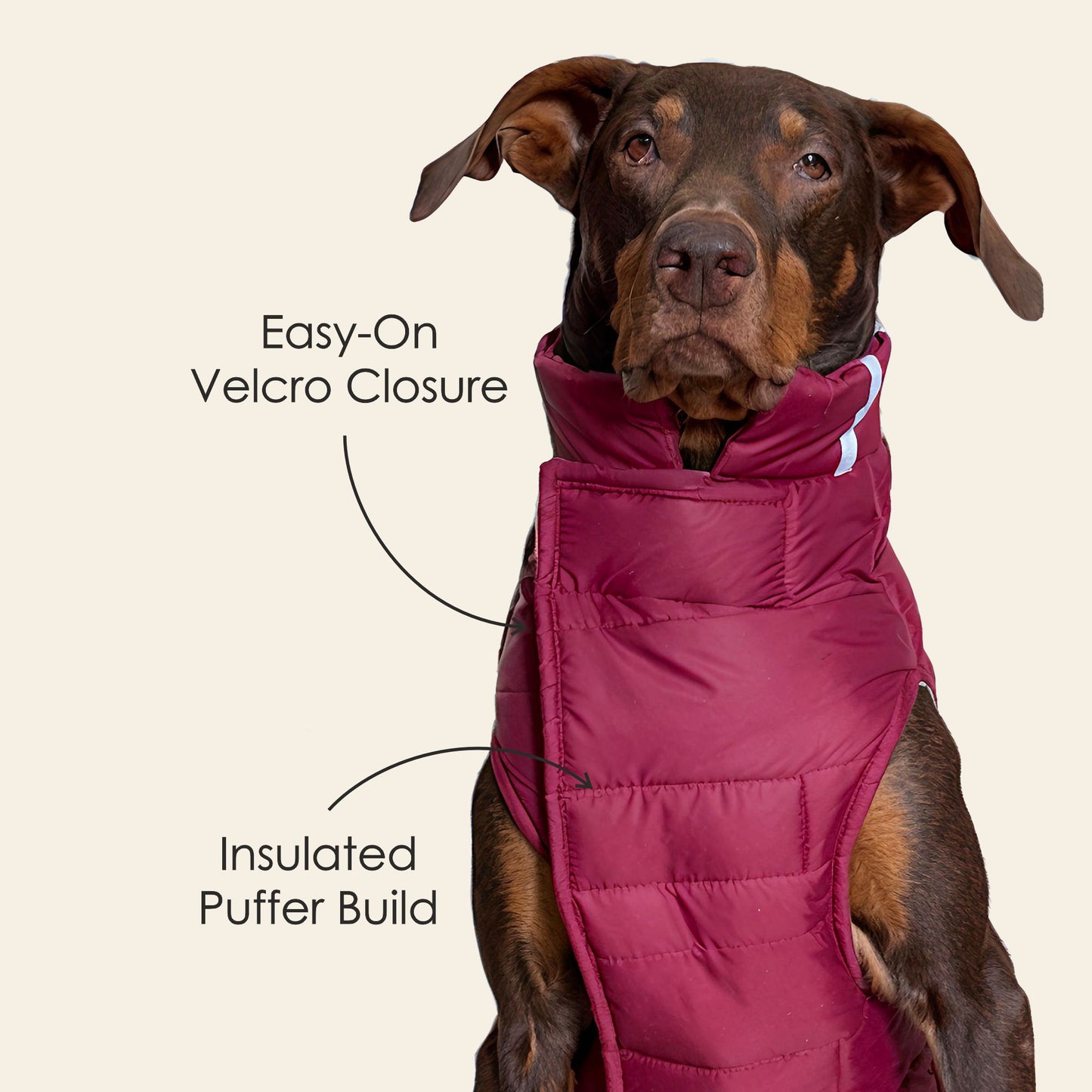Petter World ThermoGuard Classic Jacket – Premium Maroon Puffer Coat for Dogs | High-Neck Winter Protection | Leash-Access Zipper, Soft Cotton Lining & Easy Velcro Closure