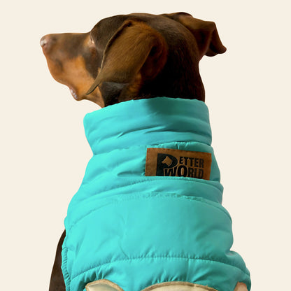 Petter World ArcticGuard Owl Jacket – Ultra-Warm Puffer Winter Coat for Dogs | Insulated, Lightweight & Water-Resistant | Easy Velcro Closure | Perfect for Cold Weather & Outdoor Walks