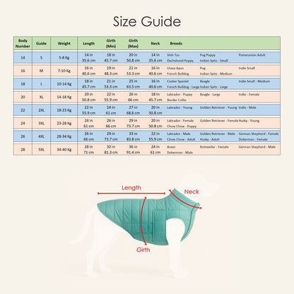 Petter World ArcticGuard Owl Jacket – Ultra-Warm Puffer Winter Coat for Dogs | Insulated, Lightweight & Water-Resistant | Easy Velcro Closure | Perfect for Cold Weather & Outdoor Walks