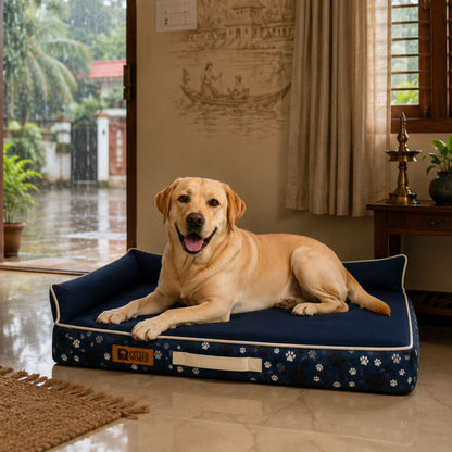 Petter World Waterproof & Chew proof Orthopaedic Memory Foam LowRise Sofa Bed