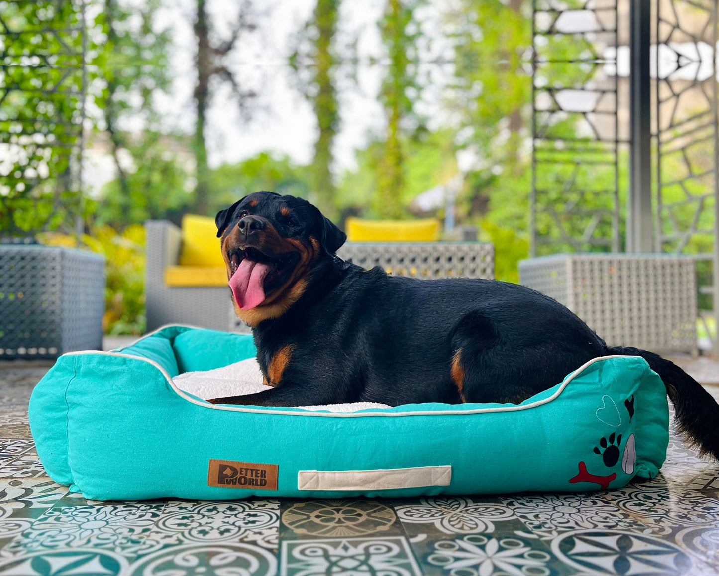 Luxury Turquoise Lounger Bed with Removable Cushion