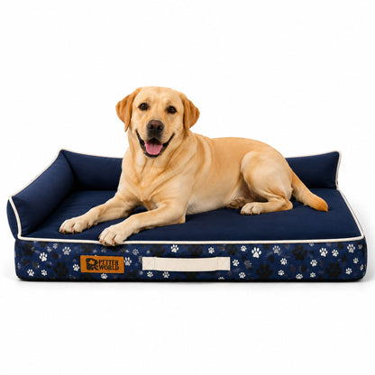 Petter World Waterproof & Chew proof Orthopaedic Memory Foam LowRise Sofa Bed