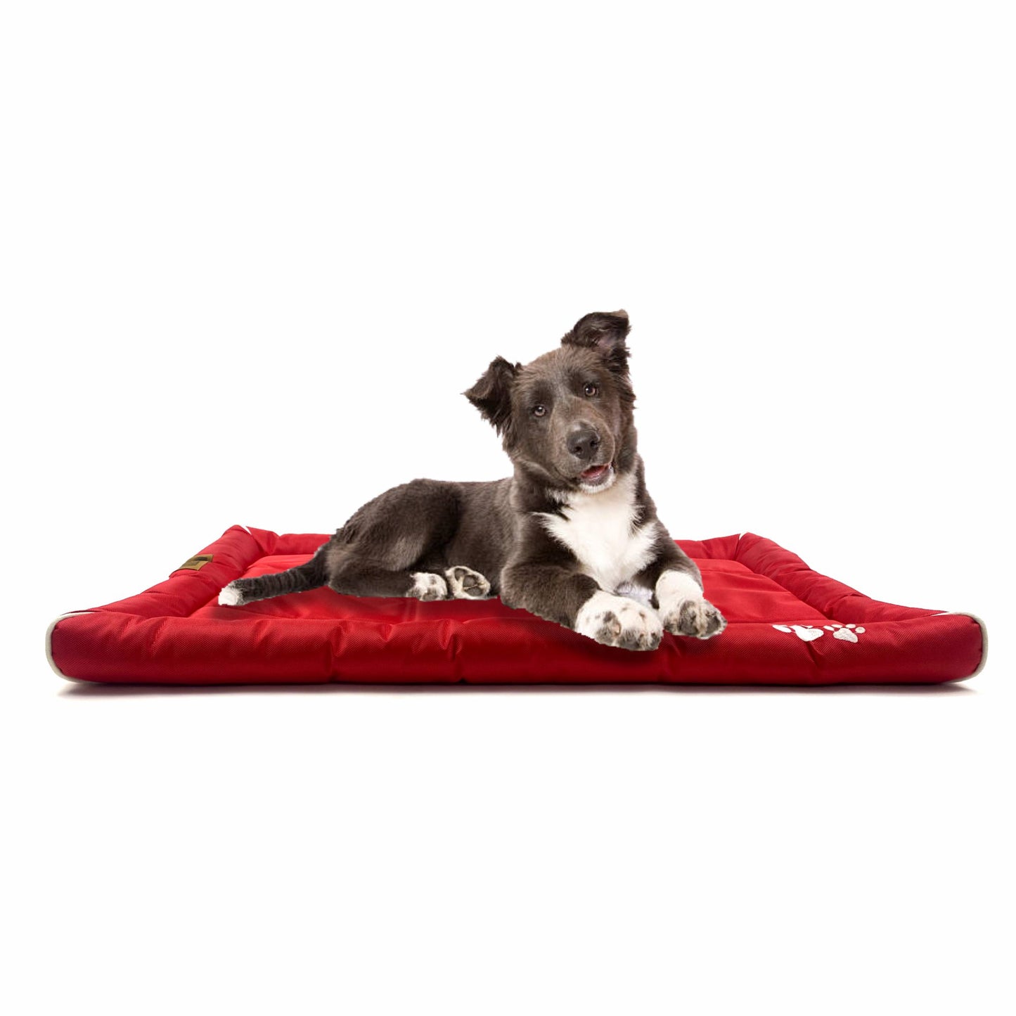 Waterproof Dog Mat with Padded Perimeters for Head & Paw Support