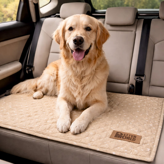 Valentine's Theme Travel Mat - Beige